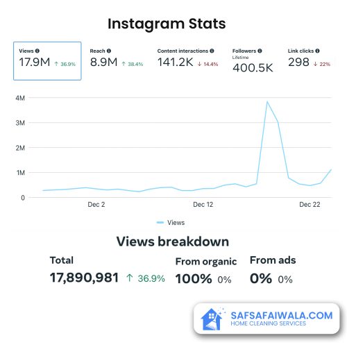 Safsafaiwala-Instagram-Stats.jpg